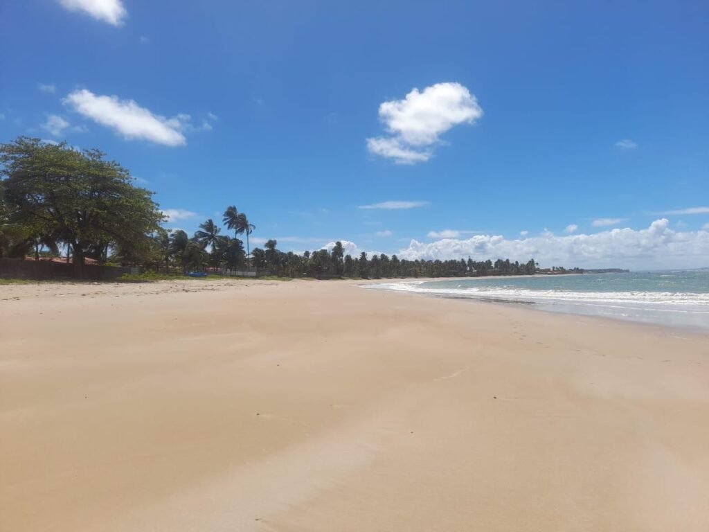 WhatsApp Image 2026-01-29 at 10.13.19 (1)