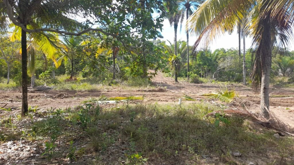 WhatsApp Image 2026-01-29 at 10.13.19 (2)