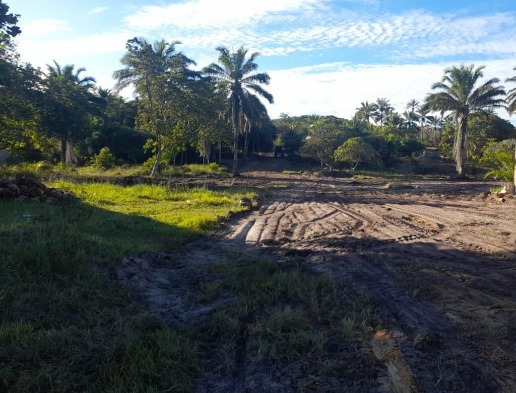 WhatsApp Image 2026-01-29 at 10.13.19 (3)