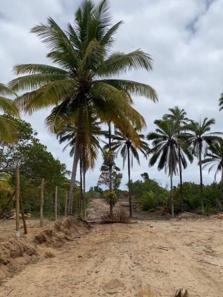 WhatsApp Image 2026-01-29 at 10.15.47